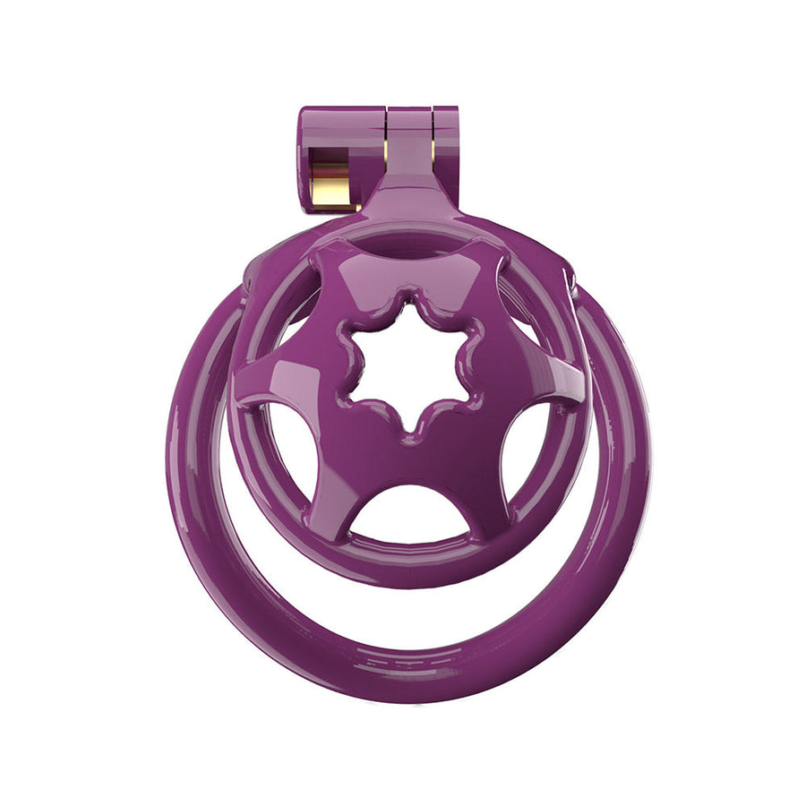 NEW Nub Chastity Cage, gallery view 8