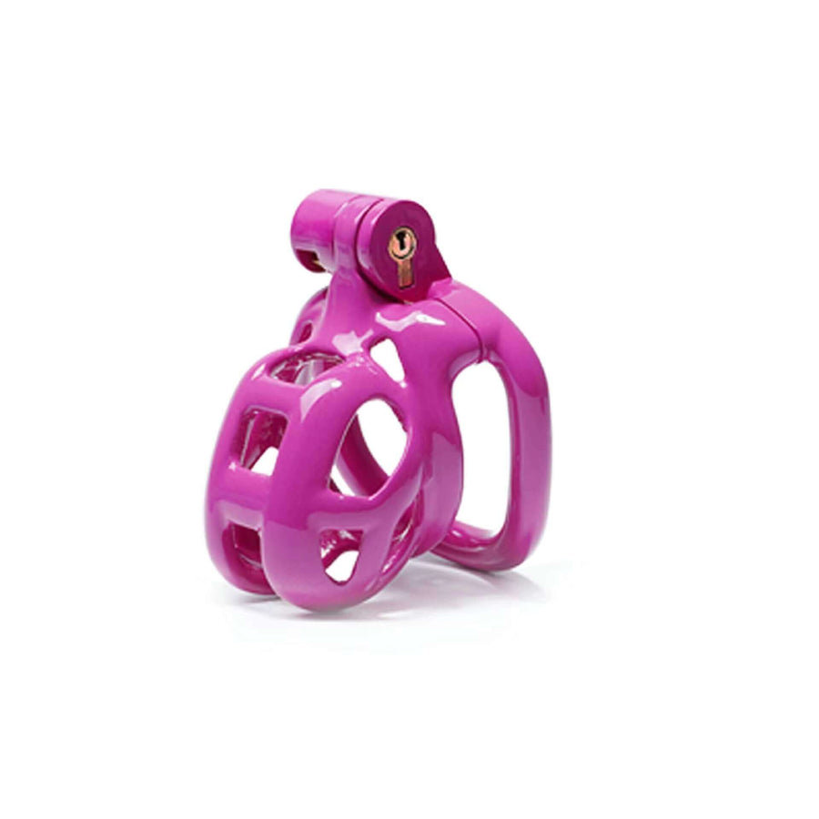 Purple Mamba Chastity Cage Kit 1.77 To 4.13 Inches Long in alternate gallery view 3