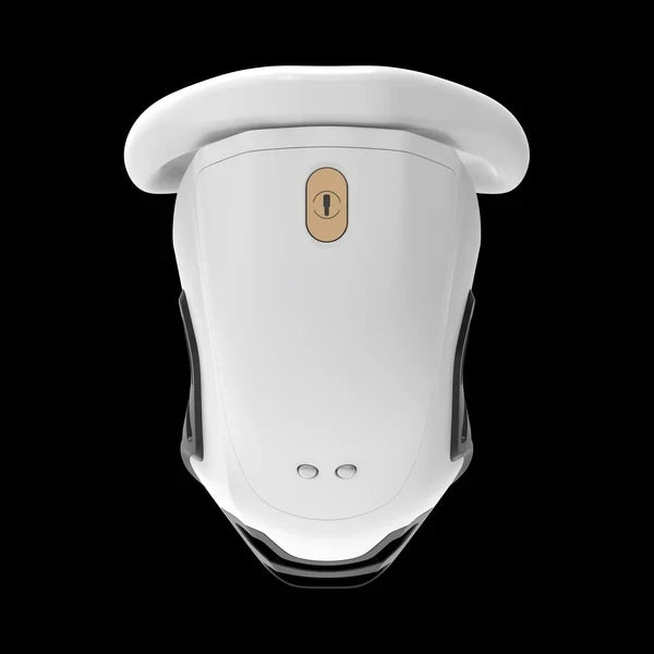 QIUI ThrillCage Chastity Cage