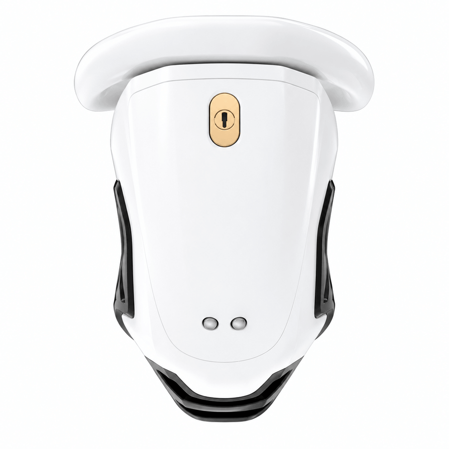 QIUI ThrillCage Chastity Cage
