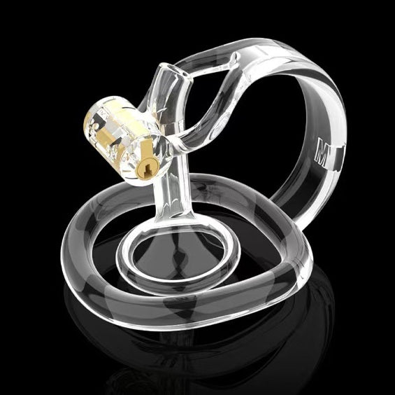 Reverse Chastity Cage, gallery view 10