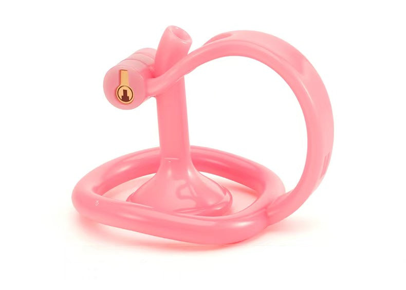 Reverse Chastity Cage, gallery view 2
