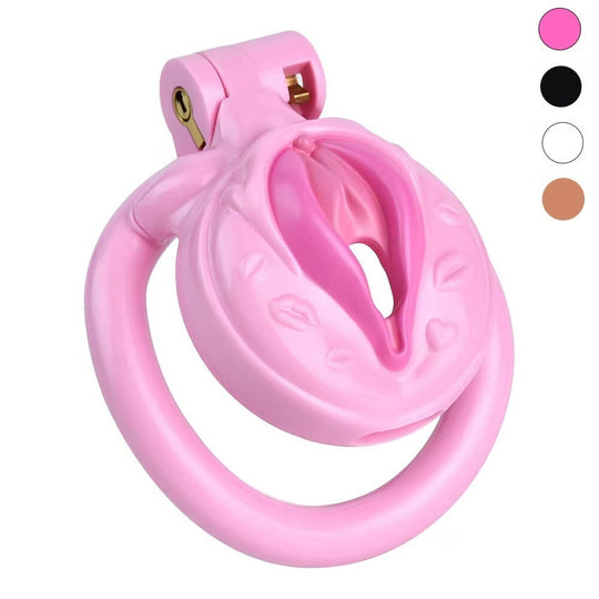 Pussy Chastity Cage product view