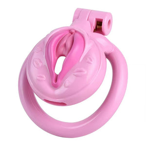 Pussy Chastity Cage