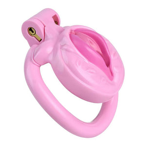 Pussy Chastity Cage