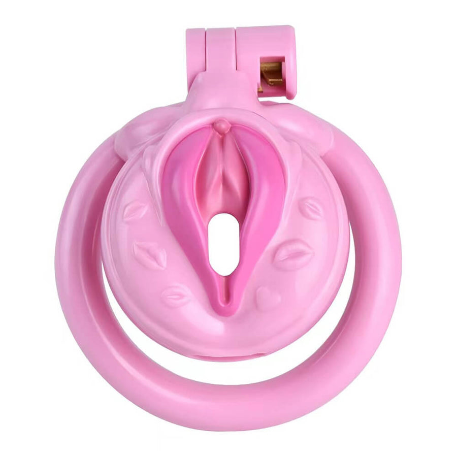 Pussy Chastity Cage, gallery view 4