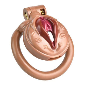 Pussy Chastity Cage