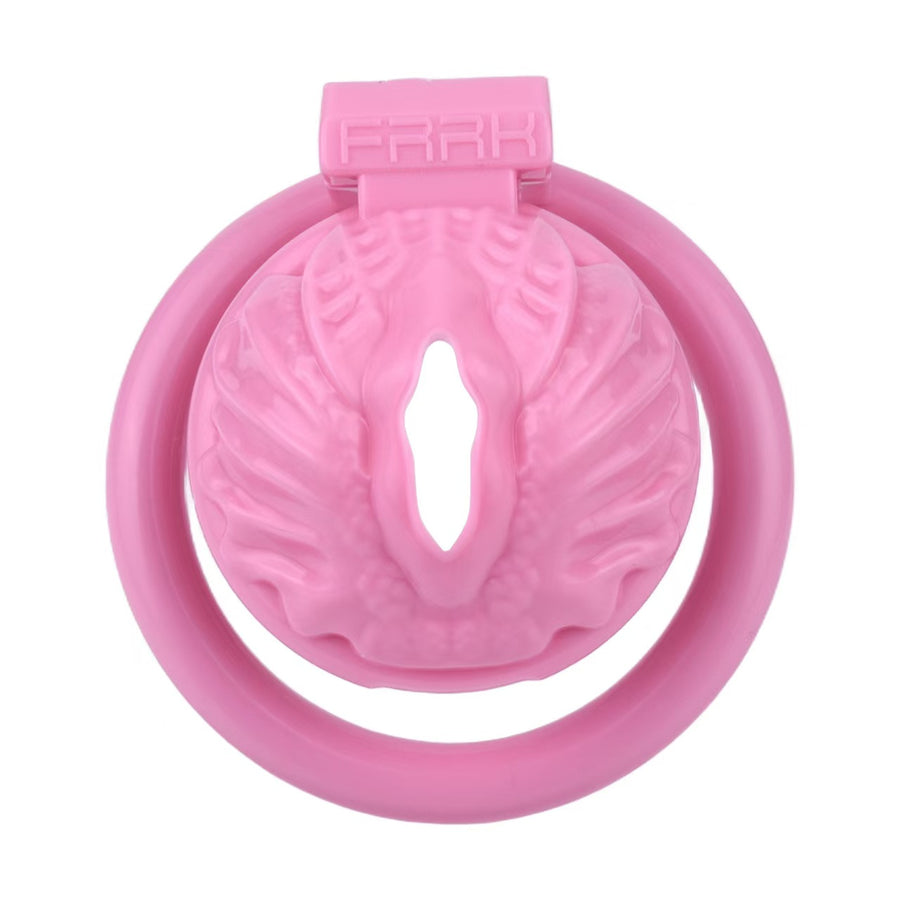 Sissy Pussy Chastity Cage - 15