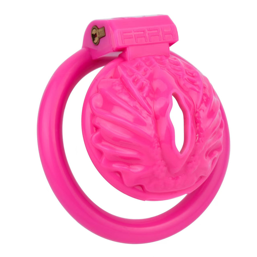 Sissy Pussy Chastity Cage - 6