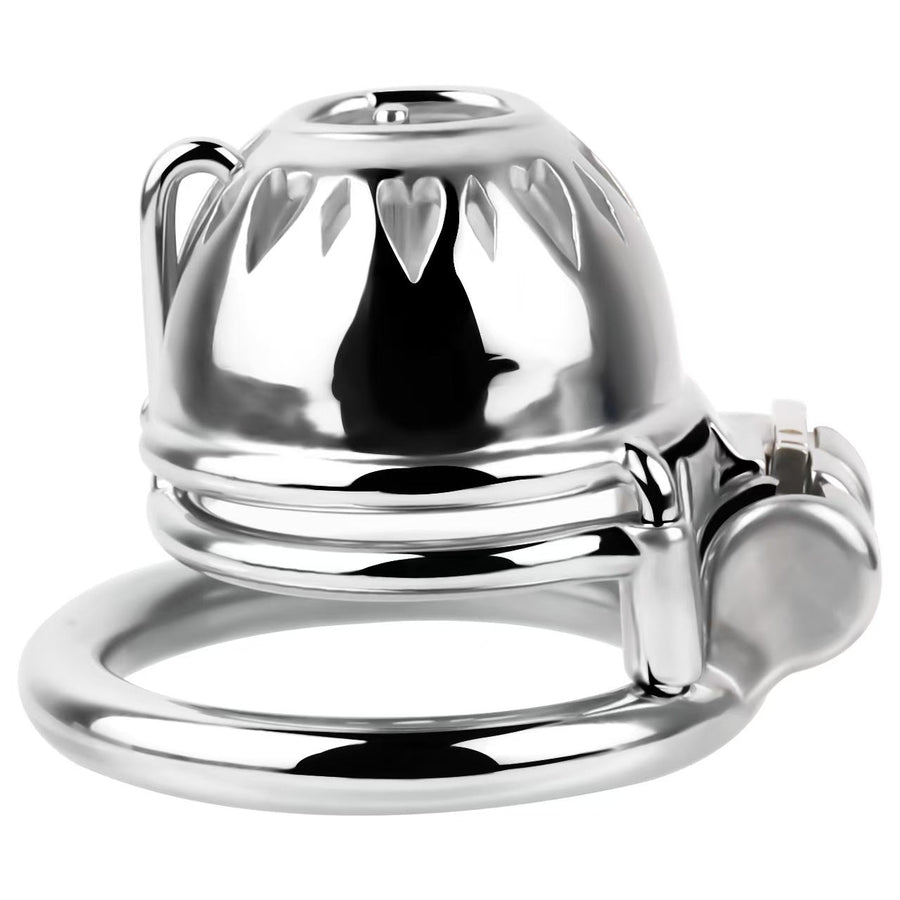 Small Chastity Cage with PA -4