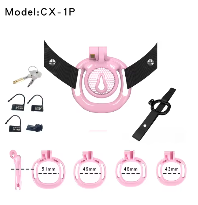 Sissy BDSM With Wearable Chastity Cage, gallery view 6