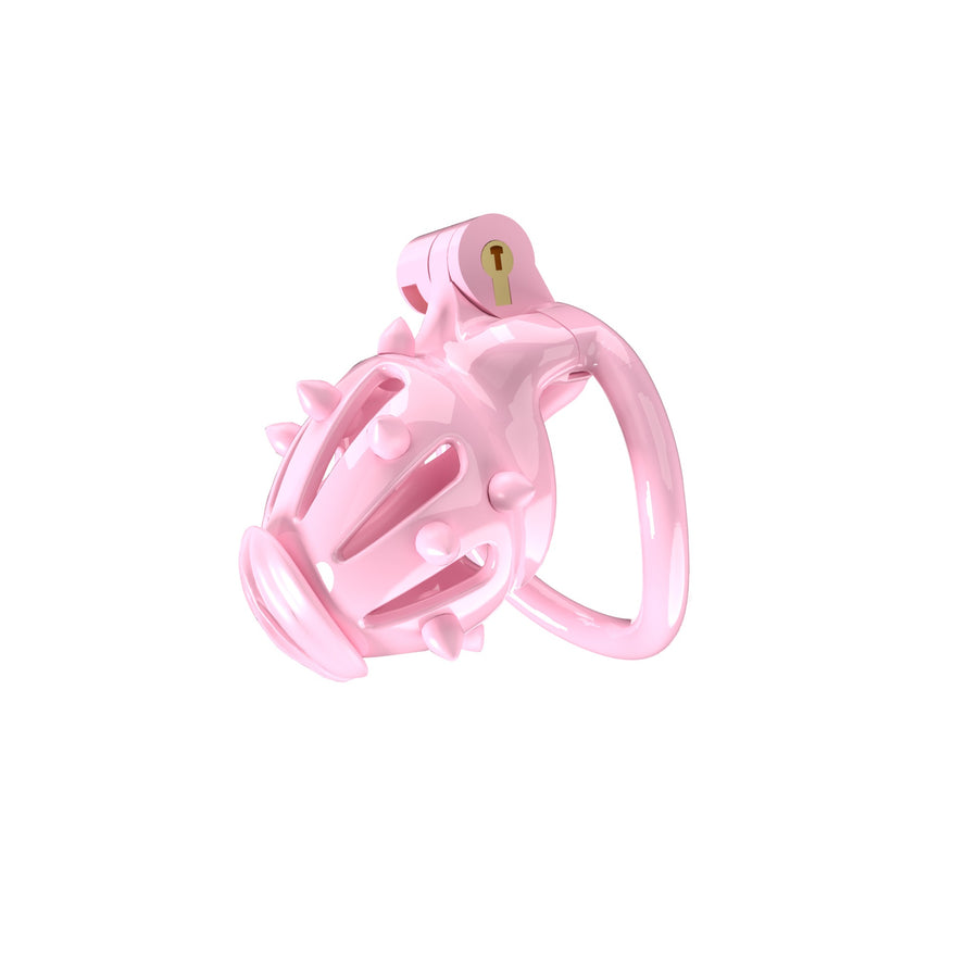 Removable spike chastity cage product detail, gallery view 10