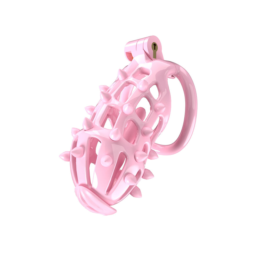 Removable spike chastity cage product detail, gallery view 3