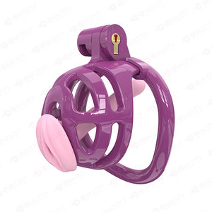 Small Chastity Cage 5 Colors to choose