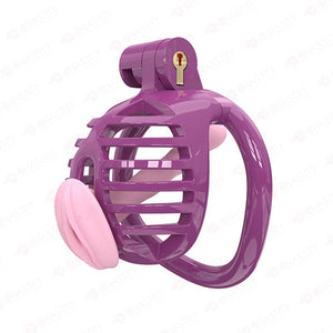 Small Chastity Cage 5 Colors to choose