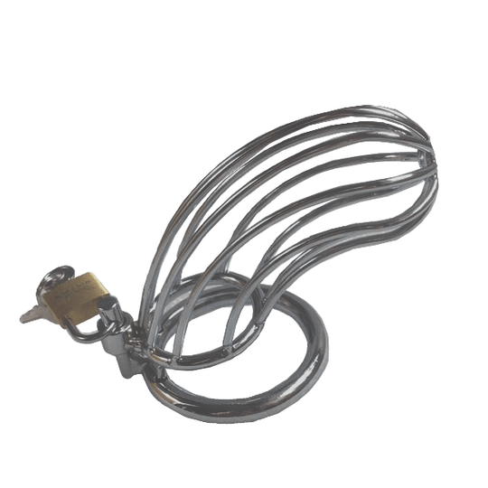 Alyssa Metal Chastity Device 5.51 inches long product view