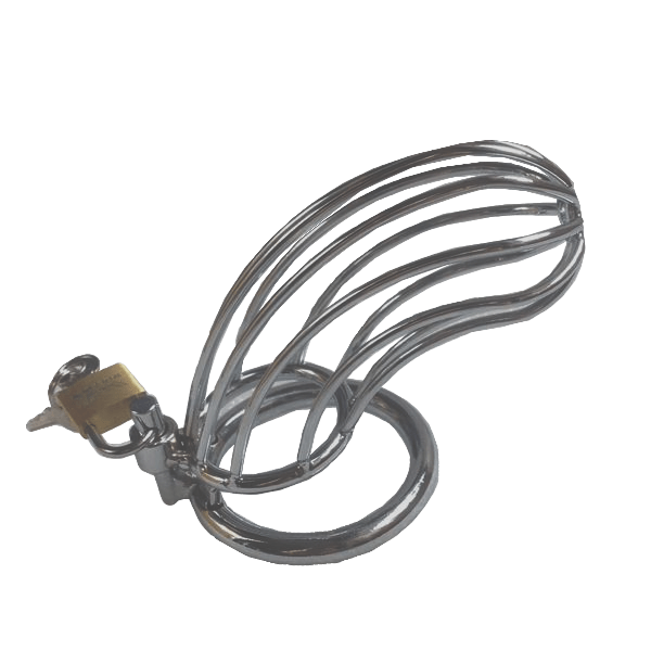Alyssa Metal Chastity Device 5.51 inches long product view