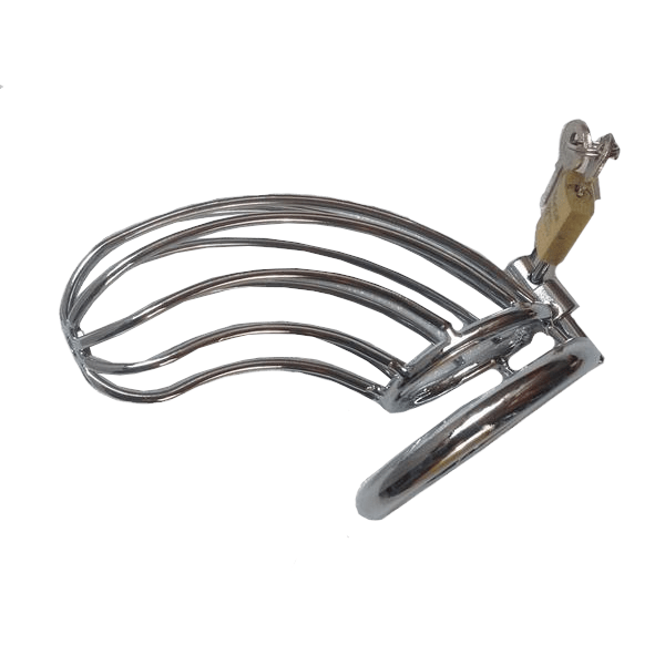 Alyssa Metal Chastity Device 5.51 inches long, gallery view 2
