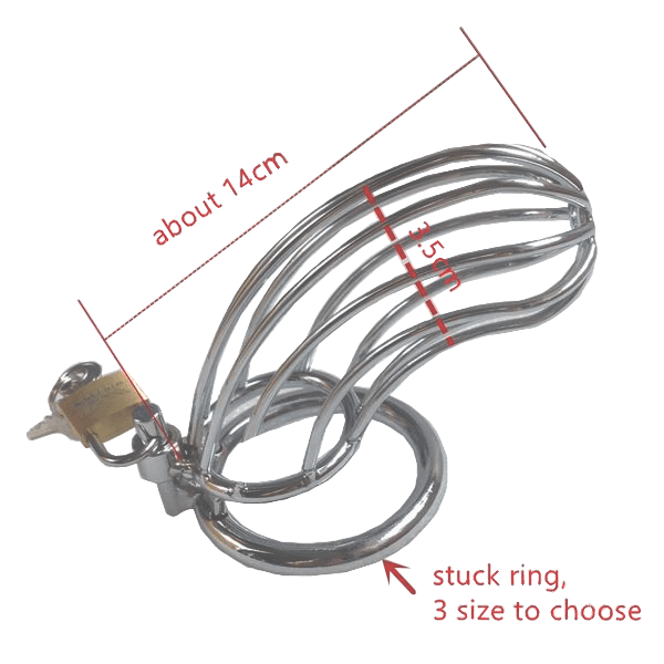 Alyssa Metal Chastity Device 5.51 inches long, gallery view 3