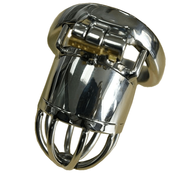 Caroline Metal Chastity Device 1.77 inches long, gallery view 2