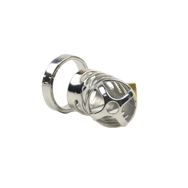 Anna Metal Chastity Cage 3.35 inches long, gallery view 4