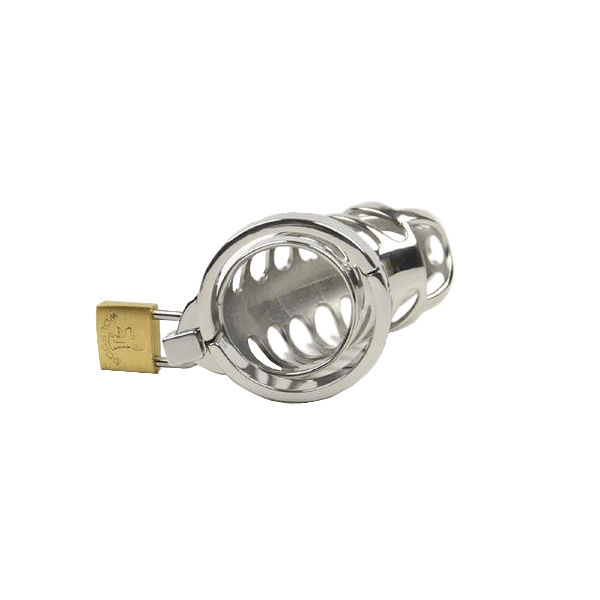 Anna Metal Chastity Cage 3.35 inches long, gallery view 3