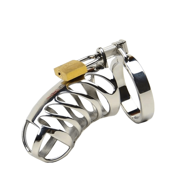 Anna Metal Chastity Cage 3.35 inches long, gallery view 2