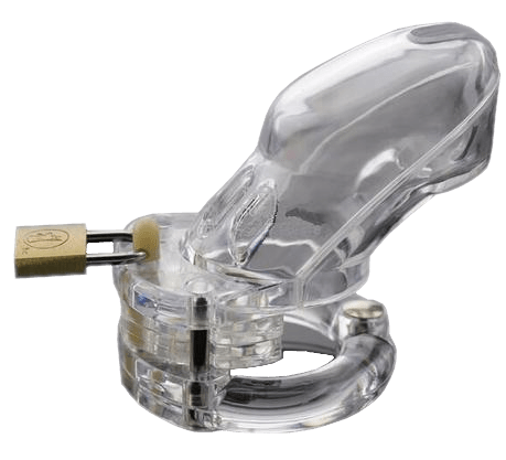 Amelia Plastic Cage 3.74 inches long, gallery view 4