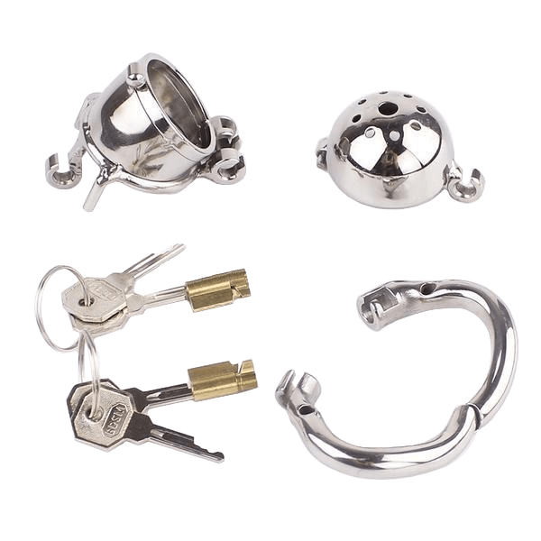 Eleanor Double Locked Cock Male Chastity Device 2.56 inches long, gallery view 6