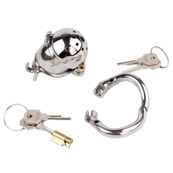 Eleanor Double Locked Cock Male Chastity Device 2.56 inches long, gallery view 7