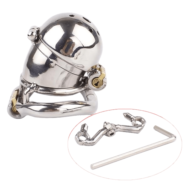 Eleanor Double Locked Cock Male Chastity Device 2.56 inches long, gallery view 2