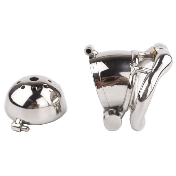 Eleanor Double Locked Cock Male Chastity Device 2.56 inches long, gallery view 5