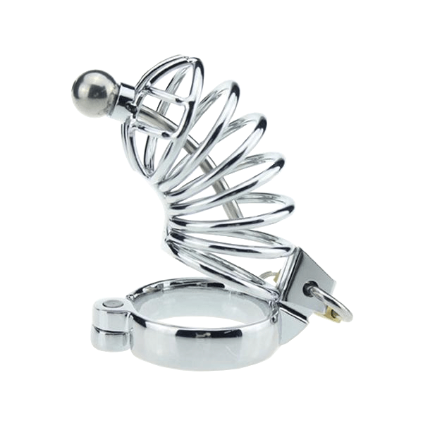 Zoey Caged Ring Metal Chastity Device, gallery view 5