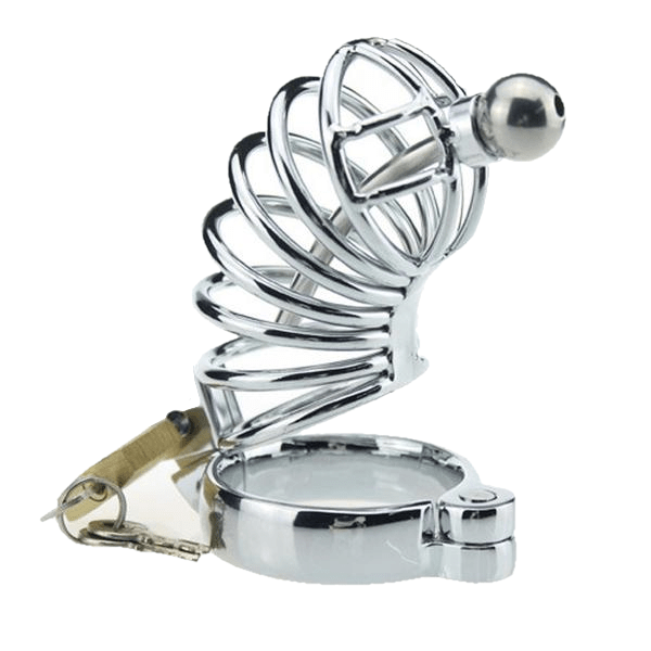 Zoey Caged Ring Metal Chastity Device, gallery view 3