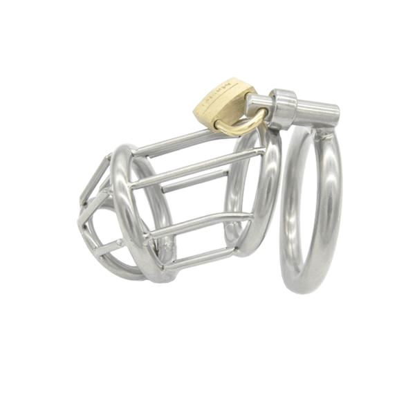 Hadley Metal Chastity Device 2.68 inches long, gallery view 4
