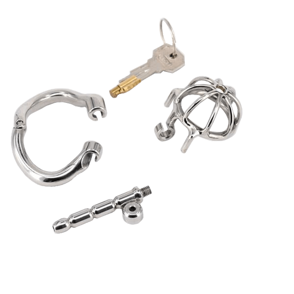 Aaliyah Chastity Device 1.73 inches long, gallery view 8