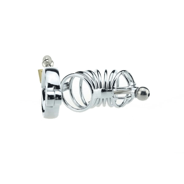 Zoey Caged Ring Metal Chastity Device, gallery view 4