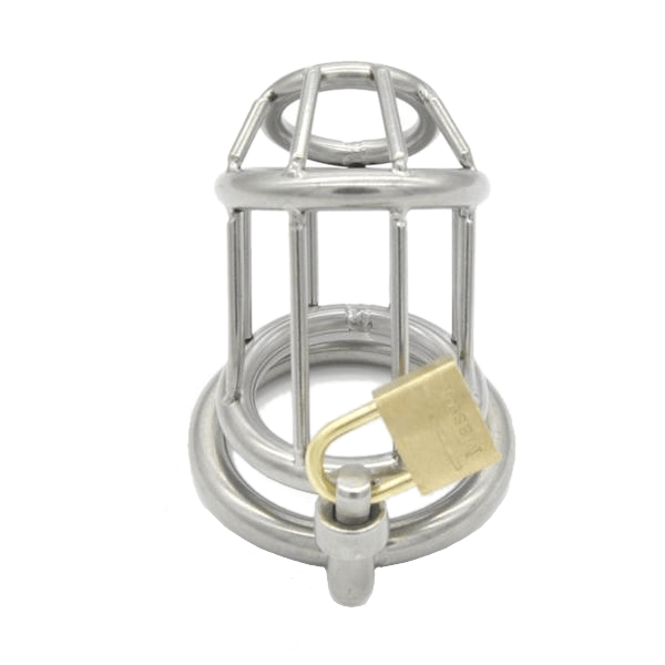 Hadley Metal Chastity Device 2.68 inches long, gallery view 2
