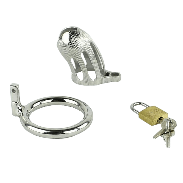 Rylee Metal Chastity Device 2.28 inches long, gallery view 3