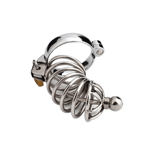 Zoey Caged Ring Metal Chastity Device, gallery view 6