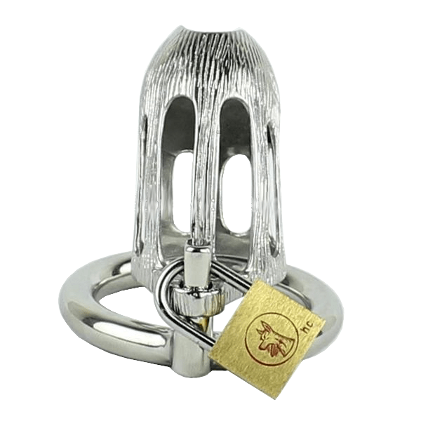 Rylee Metal Chastity Device 2.28 inches long, gallery view 2