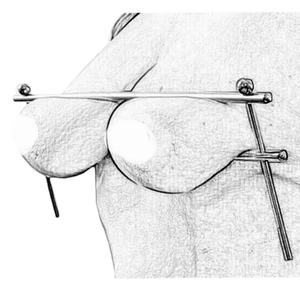 BDSM Steel Rod Bondage Nipple Clamp