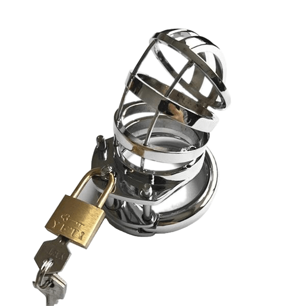 Vivian Metal Chastity Device, gallery view 3