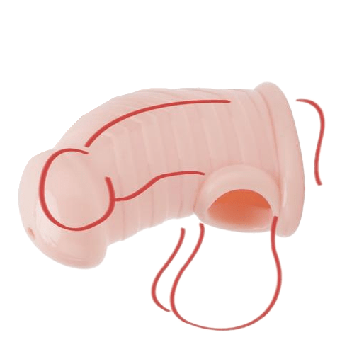 Nevaeh Fully Covered Silicone Chastity Cage 3.54 inches long, gallery view 6