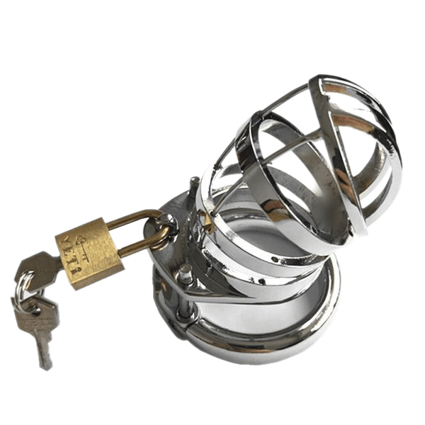 Vivian Metal Chastity Device, gallery view 2