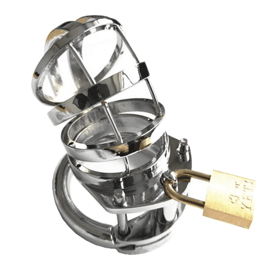 Vivian Metal Chastity Device product view