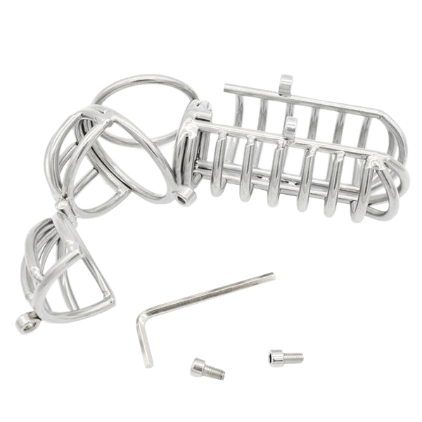 Josephine Metal Chastity Device 4.33 inches long, gallery view 3