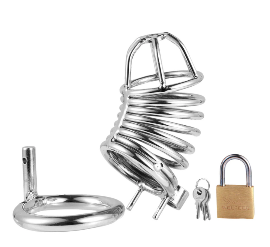 Emma Metal Chastity Device, gallery view 2