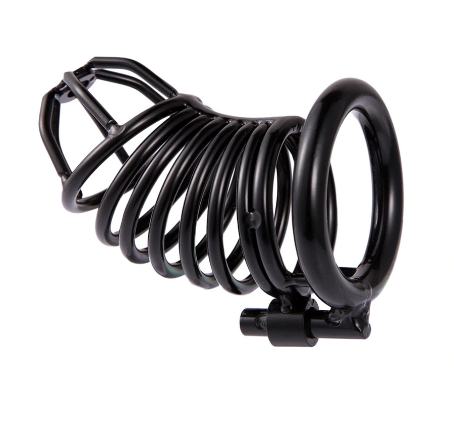 Emma Metal Chastity Device, gallery view 3