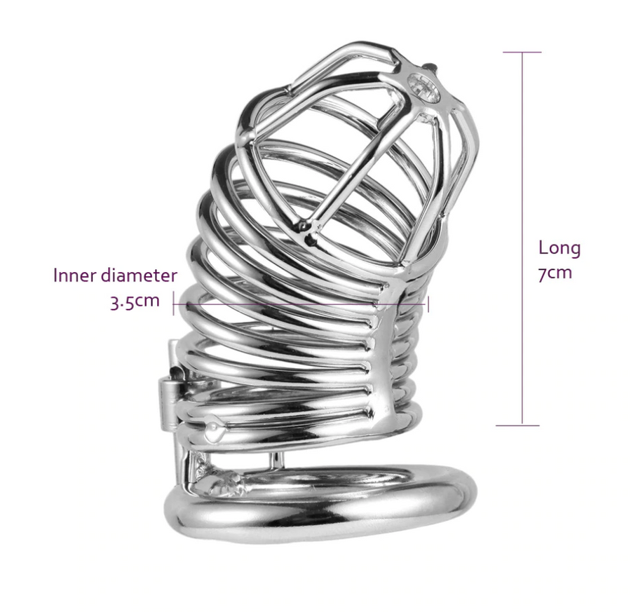 Emma Metal Chastity Device, gallery view 4